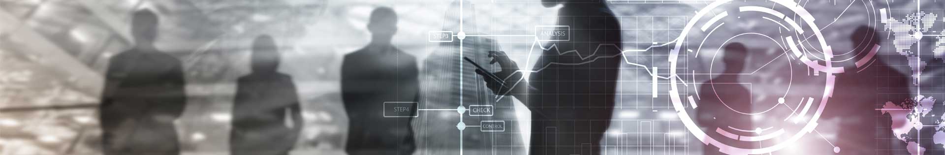 ISO/SA Management System